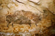 Bison with Seven Arrows Rock Painting Fine Art Print - Lascaux Caves