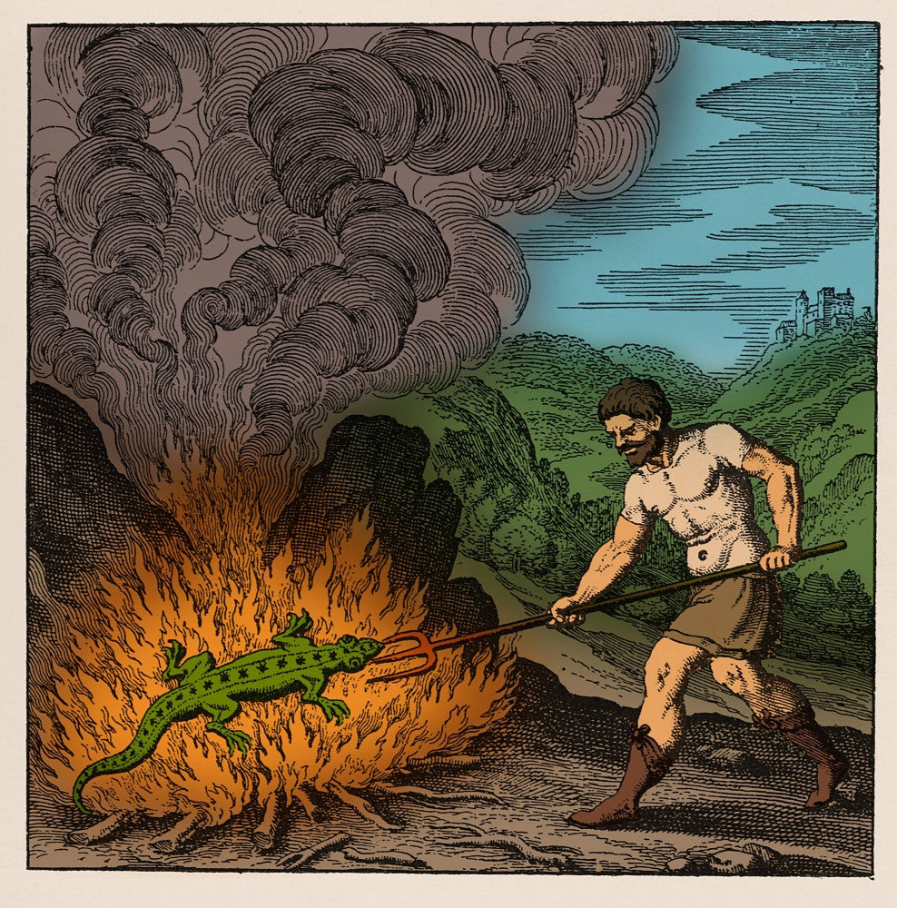Alchemist Roasting Salamander 18th Century Art Print by Science Source