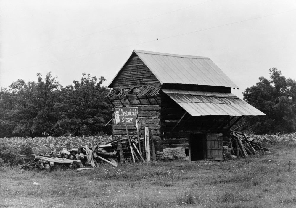 Tobacco Barn Photograph (1939) by Dorothea Lange | Granger Collection