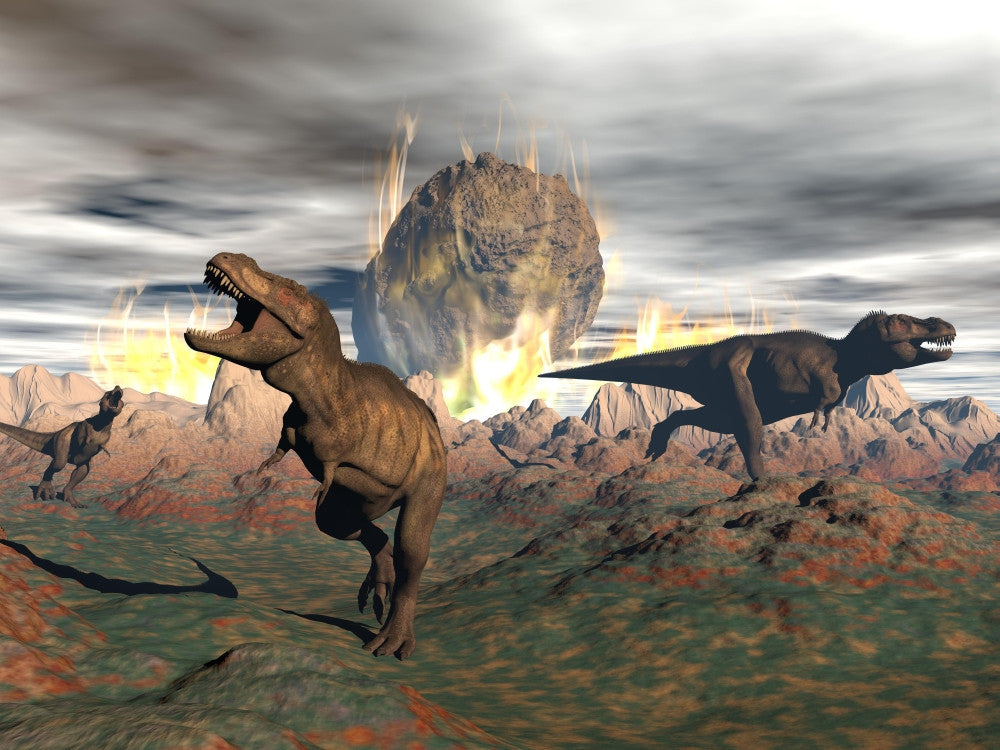 Tyrannosaurus Rex Dinosaurs Escaping Meteorite Crash Poster Print