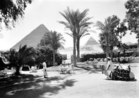 Egypt: Cairo - Front Garden of Mena House Hotel Fine Art Print