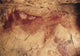 Cave Paintings of Animals - Prehistoric Art Print from Altamira Caves, Spain