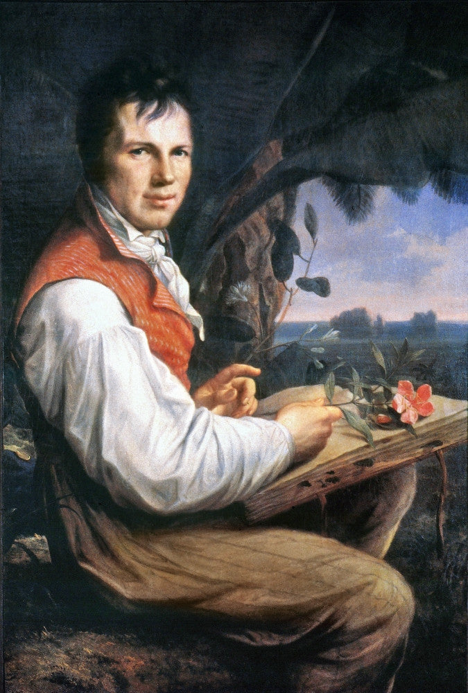 Collecting Along the Orinoco Fine Art Print by Friedrich Georg Weitsch