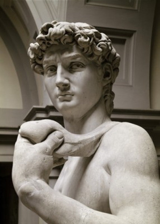 David Fine Art Print by Michelangelo Buonarroti