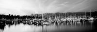 Boats Moored at Sunset in Santa Barbara Harbor Fine Art Print