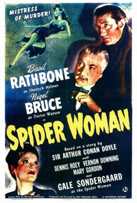Spider Woman Movie Poster Print (27x40) | Posterazzi