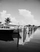 Bahia Mar Marina Fine Art Print - Fort Lauderdale, Florida