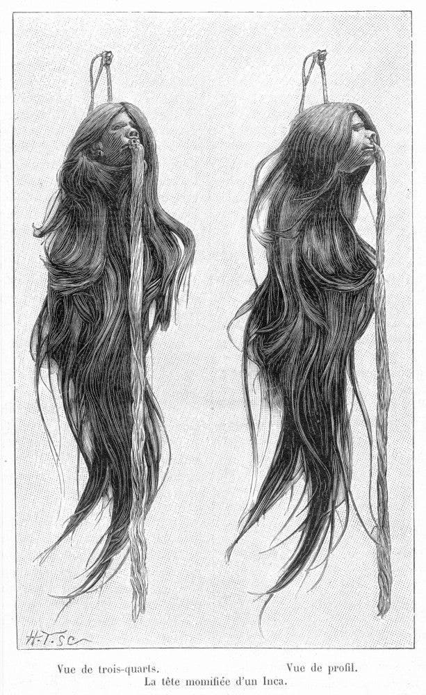 Mummified Shrunken Head Trophies Fine Art Print - 19th Century