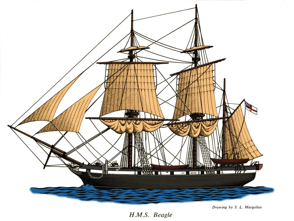 HMS Beagle Fine Art Print by Science Source
