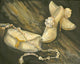 Purse and Shoes Fine Art Print by Harriet Nordby (20x16)
