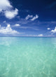Waters Off The West Coast of Barbados Fine Art Print