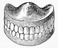 Dentures Engraving Art Print - 1853 by Granger Collection