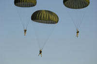 Paratroopers Descend Through the Sky Fine Art Print