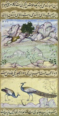 Squirrels and Peacocks Manuscript Illumination Print from Baburnama, C1590