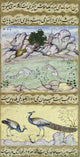 Squirrels and Peacocks Manuscript Illumination Print from Baburnama, C1590