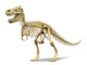 3D Rendering of Tyrannosaurus Rex Skeleton Fine Art Print