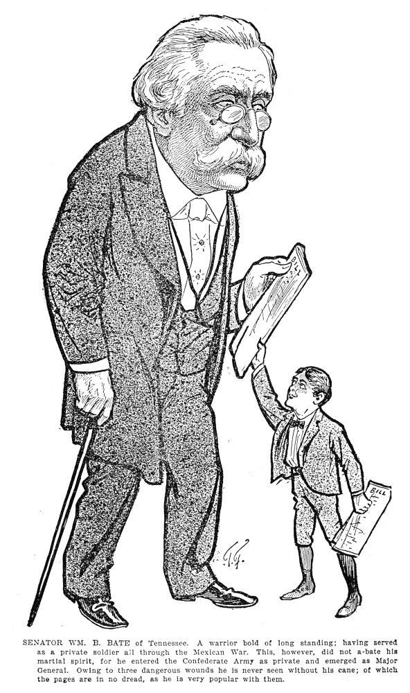 William Brimage Bate American Cartoon Fine Art Print - 1902