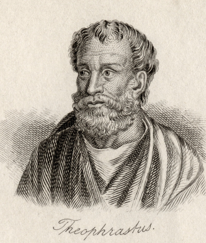 Theophrastus Engraving - Greek Philosopher and Naturalist Print
