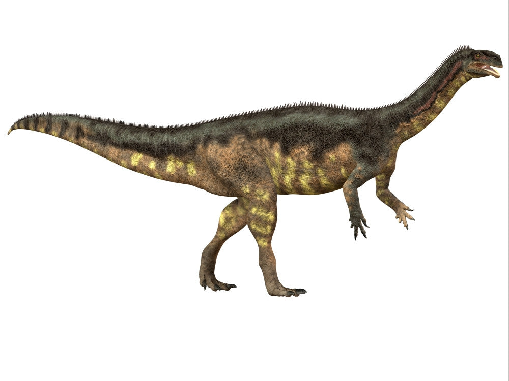 Plateosaurus Dinosaur Poster Print - Triassic Herbivore Art