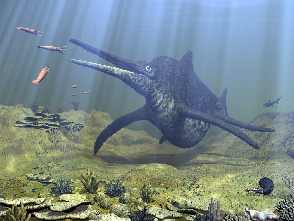 Shonisaurus Hunting Belemnites Fine Art Print