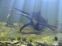 Shonisaurus Hunting Belemnites Fine Art Print