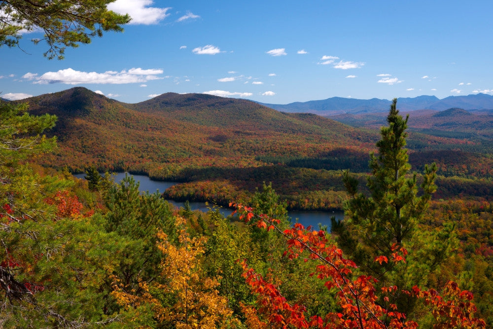 McKenzie Pond View from Mount Baker Fine Art Print by Panoramic Images