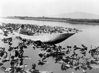 Dugout Canoe Fine Art Print by Edward S. Curtis | Granger Collection