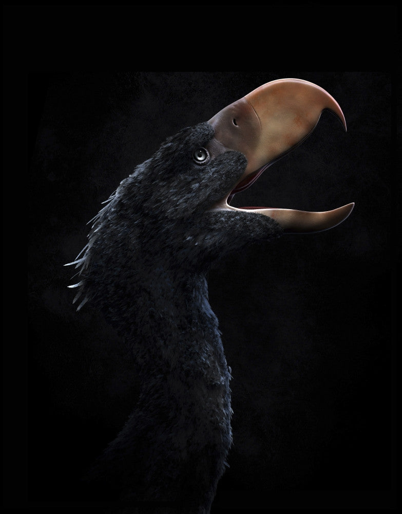 Andalgalornis Steulleti Fine Art Print - Flightless Predatory Bird