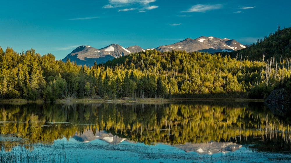 Scenic Kenai Mountains Reflection in Tern Lake Fine Art Print