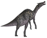 Saurolophus Dinosaur Poster Print on White Background