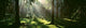 Forest in Uppland, Sweden Poster Print by Panoramic Images - 37x12