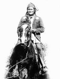 Geronimo Fine Art Print - Apache Leader Photograph (1886) by Granger Collection