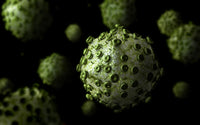 Microscopic View of HIV Virus Fine Art Print