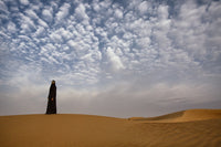 Bedouin Woman in the Desert Poster Print by Tom Norring