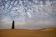 Bedouin Woman in the Desert Poster Print by Tom Norring
