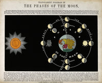 Phases of the Moon, c. 1846 Fine Art Print by Science Source