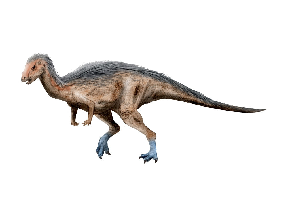 Dryosaurus Dinosaur Fine Art Print on White Background