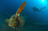 Diver Exploring Mitsubishi Zero Fighter Plane Wreck Poster Print