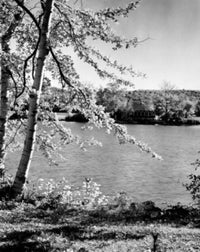 Lake Winnipesaukee Fine Art Print - New Hampshire Poster