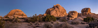 Rock Formations with Juniper and Joshua Trees Poster Print - Joshua Tree National Park, California