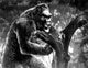 King Kong Fine Art Photo Print - Multiple Sizes Available