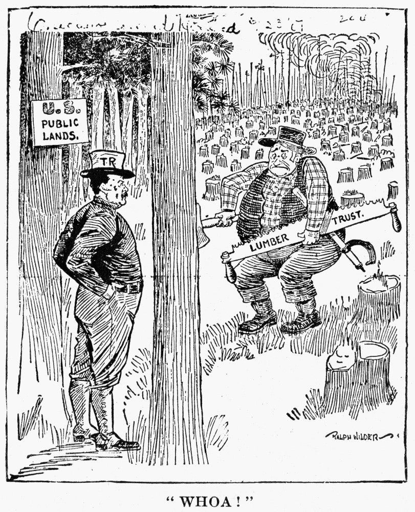 Roosevelt Cartoon Print from Chicago Record-Herald (1906) - Fine Art