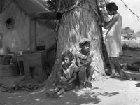 Child Labor: Motherless Children in California Cotton Fields - Photograph by Dorothea Lange