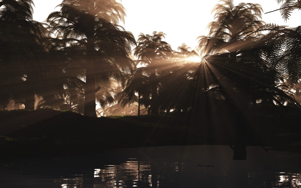 A Late Devonian Sunset Over Archaeopteris Forest Fine Art Print