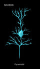 Pyramidal Neuron Fine Art Print by Monica Schroeder | Science Source
