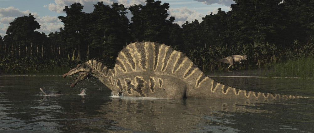 Spinosaurus Hunting for Fish Fine Art Print