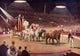 The Parade before the Performance Fine Art Print by Hilary Jane Morgan