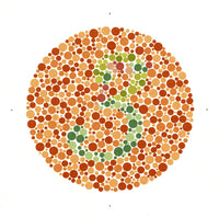 Ishihara Color Blindness Test Poster Print | Science Source