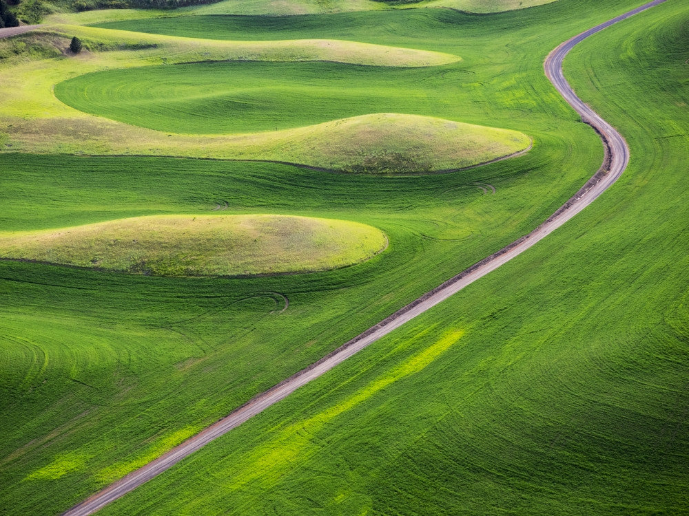 Aerial View of Palouse Region Art Print by Terry Eggers