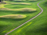 Aerial View of Palouse Region Art Print by Terry Eggers